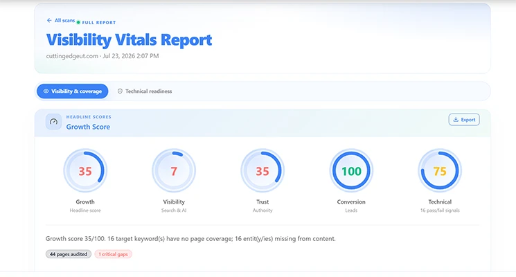 Visibility Vitals Growth Score SEO audit report
